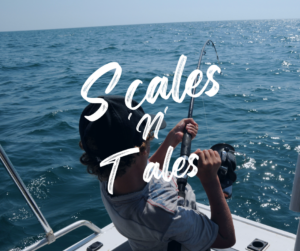Discover the Best Fishing Charters in Venice, FL